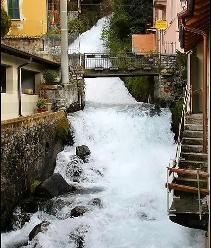 Fio & Gio Pensión *